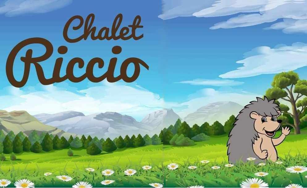 Chalet Riccio By Livigno Accomodation Rum bild